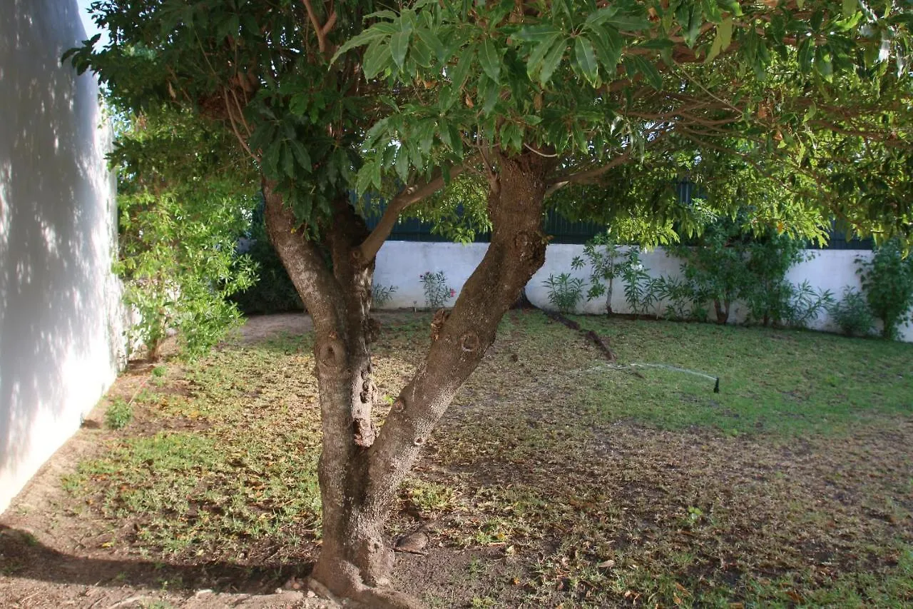 Villa Jacaranda - 550M From The Beach - Free Wifi - By Bedzy Albufeira